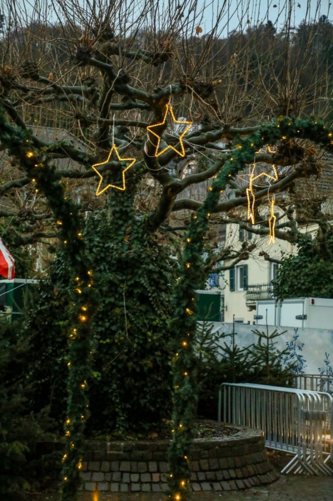 A festively decorated Christmas tree adorned with lights in Heidelberg during the holiday season.