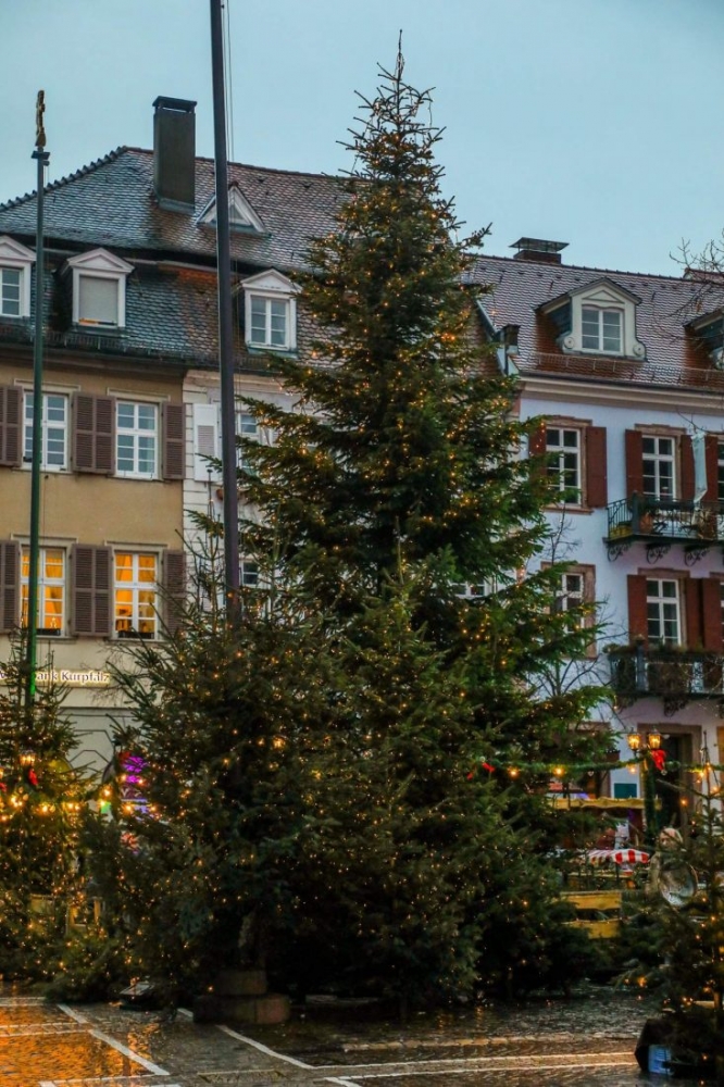 A Heidelberg building adorned with a Christmas tree.