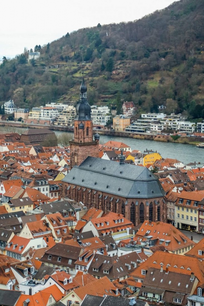 A city with red roofs and a river in the background, featuring Heidelberg Castle.