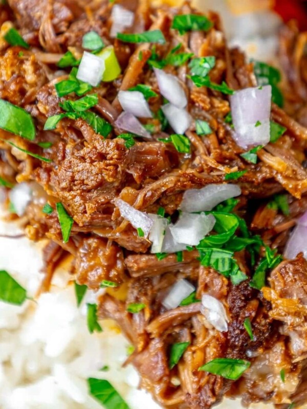 picture of shredded beef short rib over rice with onion on top
