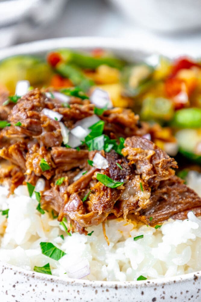 picture of short ribs shredded over rice and topped with cilantro and diced onion