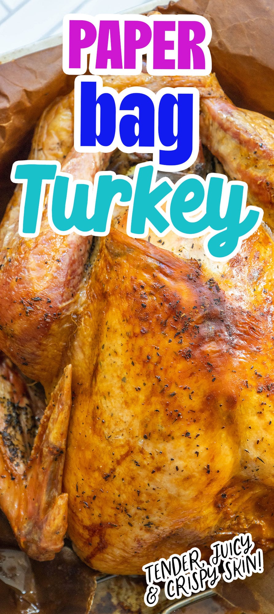 picture of a roasted turkey in a brown paper bag in a roasting pan 
