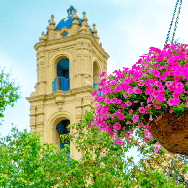A tan bell tower with blue accents rises above green trees, featuring a suspended flower basket containing vibrant pink flowers in the foreground—a picturesque scene that’s just one of the many reasons to visit Kansas City.